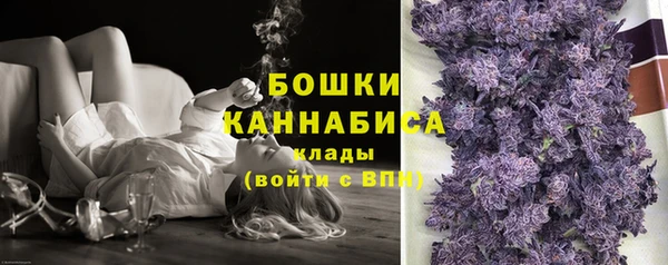 прущая мука Ельня