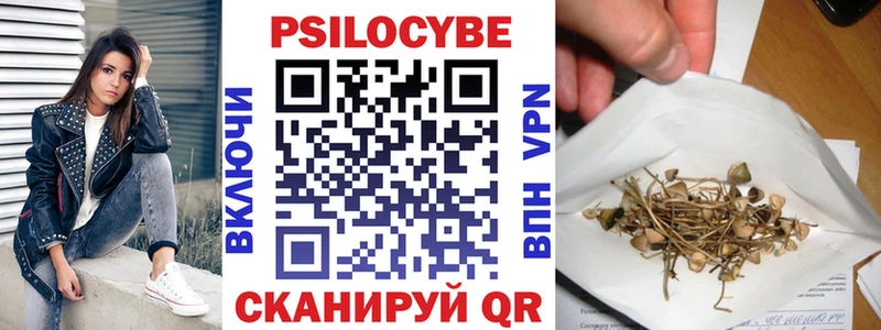 Псилоцибиновые грибы Psilocybe  ссылка на мегу как войти  Юхнов  сколько стоит 